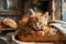 Adorable Fluffy Ginger Kitten Resting on Fresh Crusty Loaf of Bread in Rustic Kitchen Setting