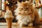 Adorable Fluffy Persian Cat Sitting by Vanilla Ice Cream Cone on Rustic CafÃ© Table