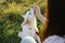 Adorable fluffy puppy having treat for giving paw to girl owner. Woman training cute white puppy to behave  in summer meadow in