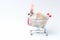 Adorable fluffy rabbit in shopping cart on white background, going to buy organic vegetable agriculture goods at grocery shop