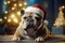 Adorable french bulldog with santa hat posing in christmas setting
