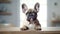 Adorable French Bulldog on White Background AI Generated