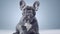 Adorable French Bulldog on White Background AI Generated