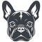 Adorable French Bulldogs Vector Logo Design: Capture Playfulness and Personality