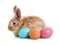 Adorable furry Easter bunny and colorful eggs