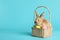 Adorable furry Easter bunny in wicker basket with dyed eggs on color background