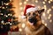 Adorable german shepard dog wearing Santa hat near the Christmas tree with blurred lights on the background, ai generated