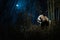 Adorable Giant Panda in a bamboo forest illuminated by moonlight. Amazing Wildlife. Generative Ai