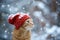 Adorable Ginger Cat Dons A Cozy Red Hat, Perched Amidst A Snowy Wonderland