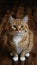 Adorable ginger cat sports serious, funny expression on wooden floor