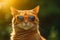 Adorable ginger cat wears sunglasses, stealing the spotlight in a closeup