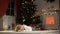 Adorable girl fallen asleep under X-mas tree, waiting Santa, dreaming of gifts