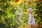 Adorable girl in white dress and straw hat in a field of sunflowers in Provence, France