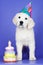 Adorable golden retriever puppy birthday card