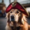 An adorable golden retriever wearing a pirate costume, complete with a tiny eyepatch and a pirate hat1