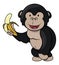 Adorable Gorilla Holding Banana Color Illustration