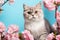 adorable gray cat surrounded by pink flowers on a blue background