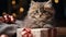 Adorable gray striped cute funny little cat sitting in gift Christmas present box