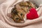 Adorable green-eyed bengal cat lying on pink blanket with soft toy red heart. Valentine day relax  love  pets concept