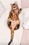 Adorable green-eyed spotted bengal cat