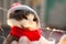 adorable grey and white cat in red santa hat and scarf with cristmas lights