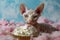 Adorable Hairless Sphynx Cat with Cupcake Surrounded by Fluffy Pink Clouds in a Whimsical Fantasy Setting
