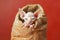 Adorable Hairless Sphynx Kitten Peeking Out from Rustic Bread Bag on Warm Toned Background