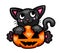 Adorable Halloween Cat Hugging a Pumpkin