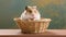 Adorable hamster in wicker basket on wooden table