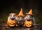 Adorable Hamster Witches Embrace Halloween Spirit