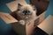 An adorable Himalayan kitten in a cardboard box, the perfect furry companion. Generative AI