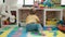 Adorable hispanic baby crawling on floor at kindergarten