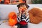 Adorable hispanic boy having halloween party holding pumpkin baskets over eyes at home