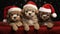 the adorable holiday spirit with three little cute puppies donning Santa Claus hats in a heartwarming scene.