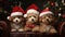 the adorable holiday spirit with three little cute puppies donning Santa Claus hats in a heartwarming scene.