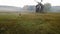 Adorable horse grazes in a clearing with a mill. Beautiful rural mood scene. Countryside foggy morning. Video footage