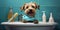 An Adorable Image Of A Cute Dog With A Toothbrush In A Bathroom Setting Emphasizing The Importance Of Pet Hygiene