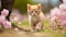 Adorable and inquisitive kitten joyfully exploring the breathtaking wonders of nature