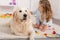 adorable kid pretending veterinarian and examining golden retriever dog