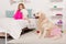 adorable kid taking pink skirt, golden retriever sitting on carpet in pink skirt