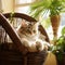 an adorable kitten comfortably perched on cat furniture beside a lush potted plant, all within a room adorned with a