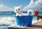 adorable kitten on a sandy beach by the sea enjoying the sun