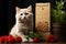 An adorable kitten sitting close to a package of tofu-based cat litter. The image promotes a sustainable and pet