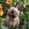 Adorable kitten in a stunning flower field, AI-generated.