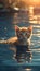 Adorable kitten swimming in water with golden sunlight reflections. Generative AI