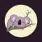 Adorable Koala Sleeping Dreaming Eucalyptus Tree Animal Flat Cartoon Character