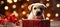 Adorable labrador puppy in gift box with festive holiday backdrop joyful christmas pet portrait