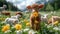 Adorable lamb holding a yellow flower in its mouth, standing in a sunlit field of wildflowers