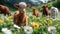 Adorable lamb holding a yellow flower in its mouth, standing in a sunlit field of wildflowers