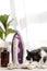 Adorable lazy cat sleeping at iron on modern cloth. Cute black and white cat relaxing on ironing board in stylish room, cozy